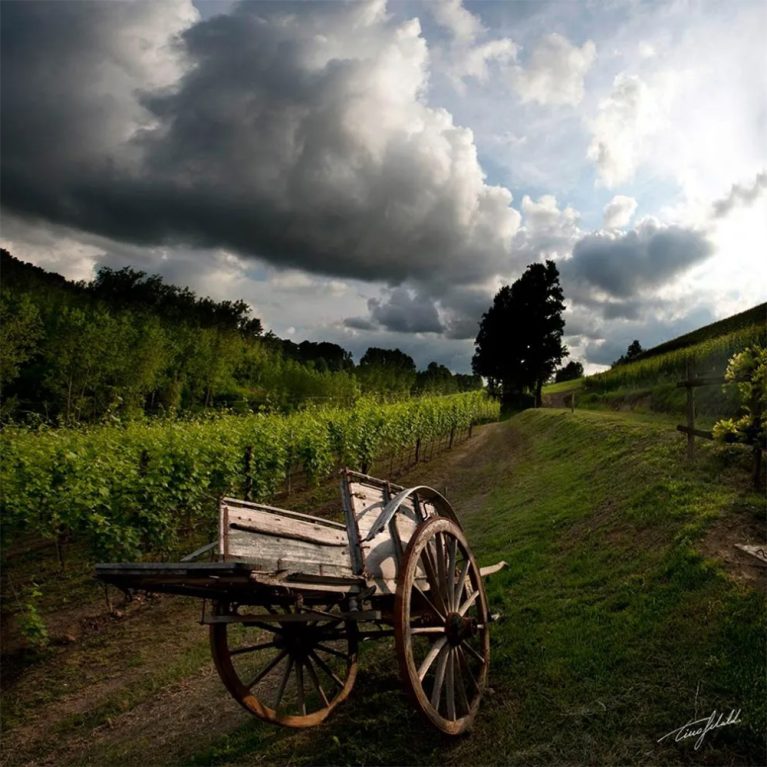 Il portfolio online di Tino Gerbaldo